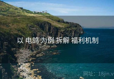 以 电鸽 为例 拆解 福利机制