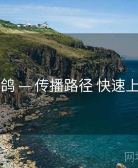 电鸽 — 传播路径 快速上手