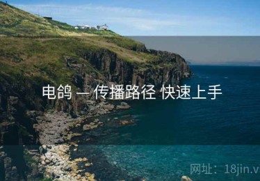 电鸽 — 传播路径 快速上手