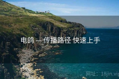 电鸽 — 传播路径 快速上手