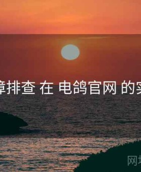 故障排查 在 电鸽官网 的实操