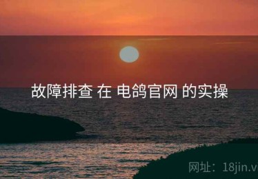 故障排查 在 电鸽官网 的实操