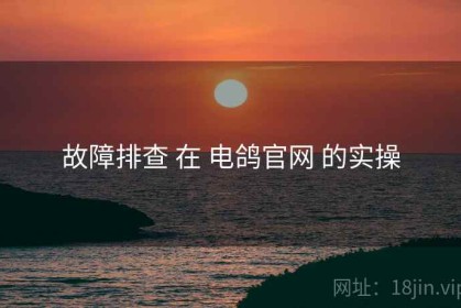 故障排查 在 电鸽官网 的实操