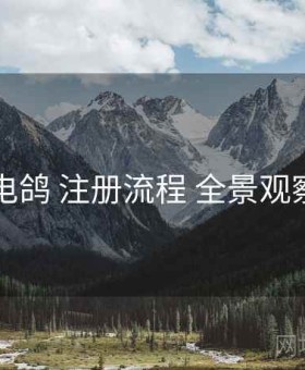 电鸽 注册流程 全景观察