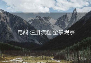 电鸽 注册流程 全景观察