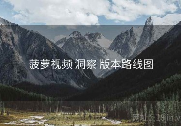 菠萝视频 洞察 版本路线图