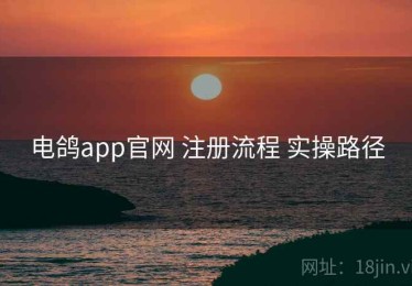 电鸽app官网 注册流程 实操路径