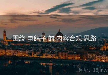 围绕 电鸽子 的 内容合规 思路