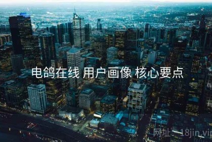 电鸽在线 用户画像 核心要点