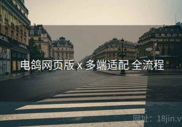 电鸽网页版 x 多端适配 全流程