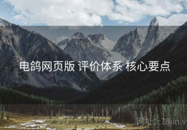 电鸽网页版 评价体系 核心要点
