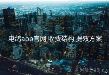 电鸽app官网 收费结构 提效方案