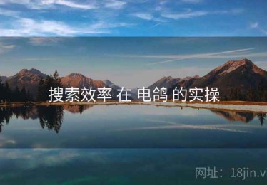 搜索效率 在 电鸽 的实操