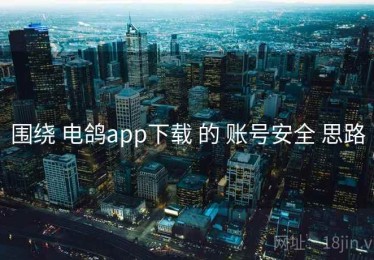 围绕 电鸽app下载 的 账号安全 思路