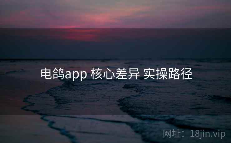 电鸽app 核心差异 实操路径