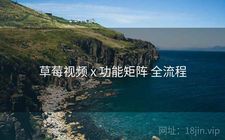 草莓视频 x 功能矩阵 全流程