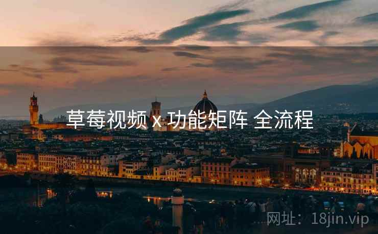 草莓视频 x 功能矩阵 全流程