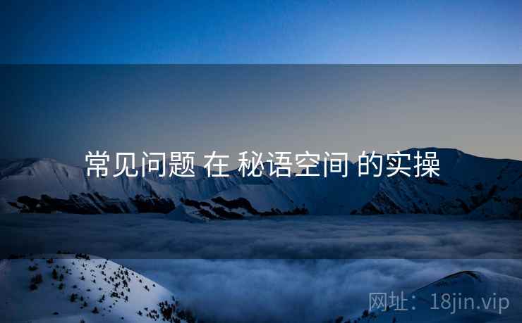 常见问题 在 秘语空间 的实操