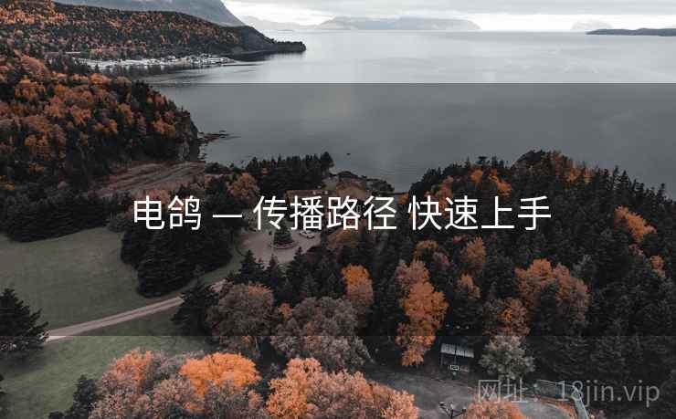 电鸽 — 传播路径 快速上手