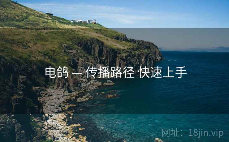 电鸽 — 传播路径 快速上手