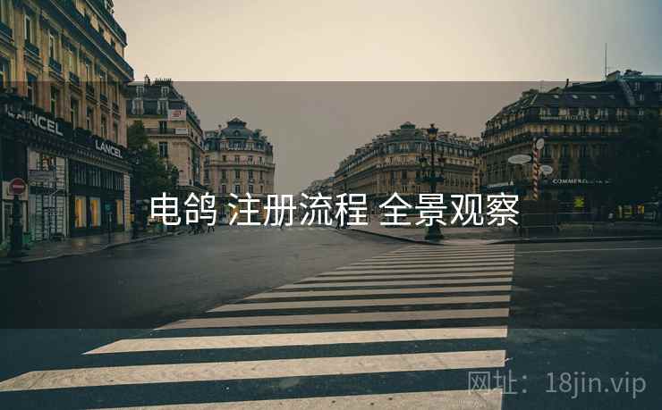 电鸽 注册流程 全景观察