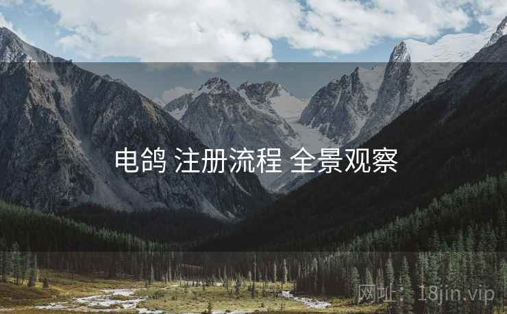 电鸽 注册流程 全景观察