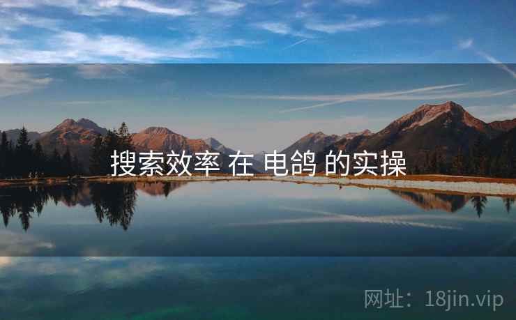 搜索效率 在 电鸽 的实操