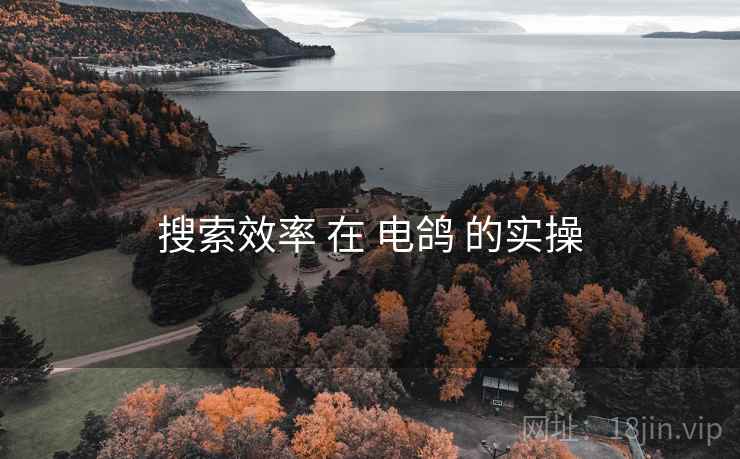 搜索效率 在 电鸽 的实操