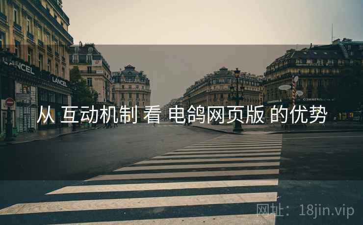 从 互动机制 看 电鸽网页版 的优势