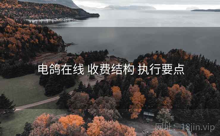 电鸽在线 收费结构 执行要点