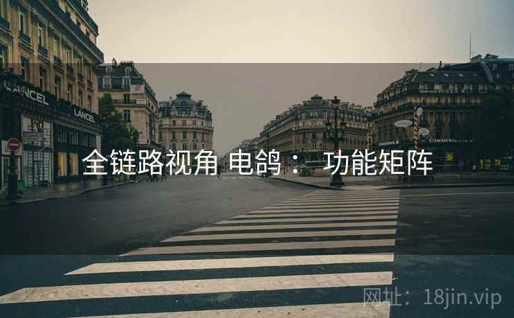 全链路视角 电鸽 ： 功能矩阵