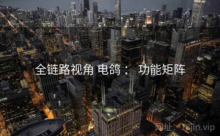 全链路视角 电鸽 ： 功能矩阵