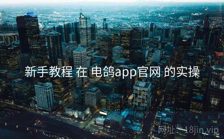 新手教程 在 电鸽app官网 的实操