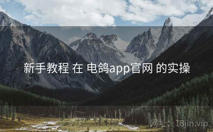 新手教程 在 电鸽app官网 的实操