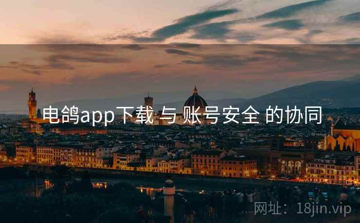 电鸽app下载 与 账号安全 的协同