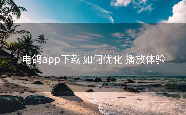 电鸽app下载 如何优化 播放体验 电鸽app下载 如何优化 播放体验