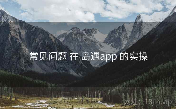 常见问题 在 岛遇app 的实操