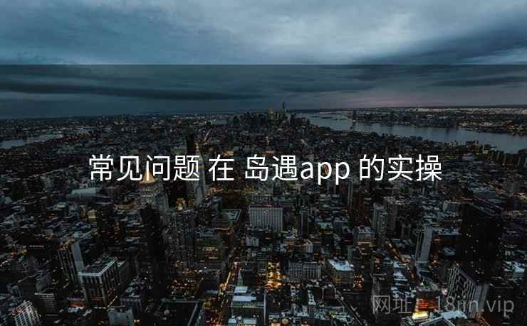 常见问题 在 岛遇app 的实操