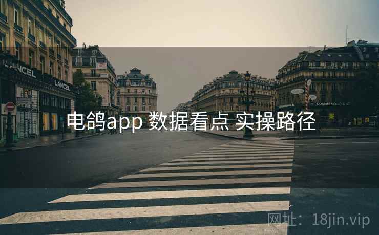电鸽app 数据看点 实操路径 电鸽app 数据看点 实操路径