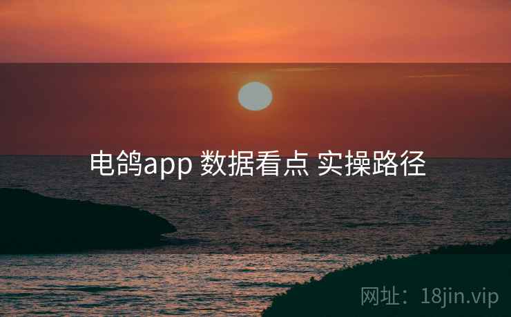 电鸽app 数据看点 实操路径 电鸽app 数据看点 实操路径